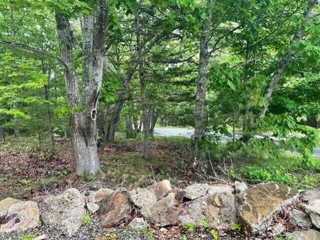 Land for sale in Owls Head, Maine