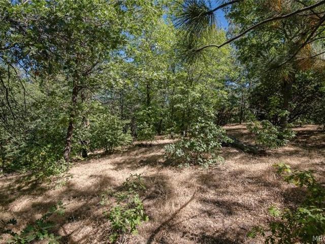 Land for sale in Cedar Glen, California