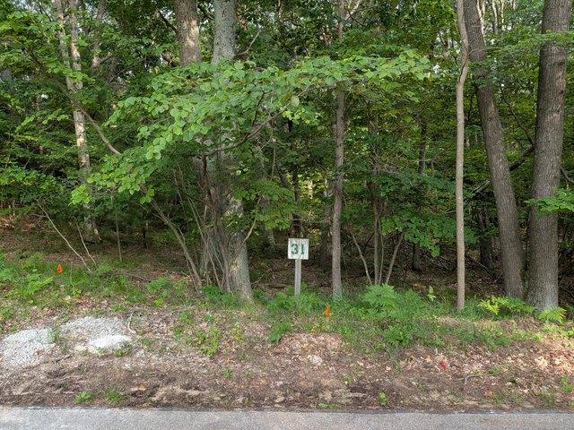 Land for sale in Mears, Michigan