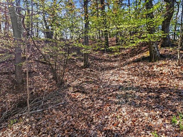 Land for sale in Mears, Michigan