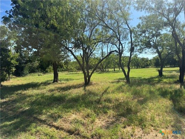 Land for sale in Bangs, Texas