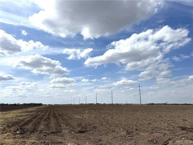 Land for sale in Progreso, Texas