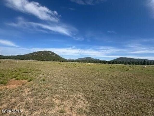 Land for sale in Parks, Arizona