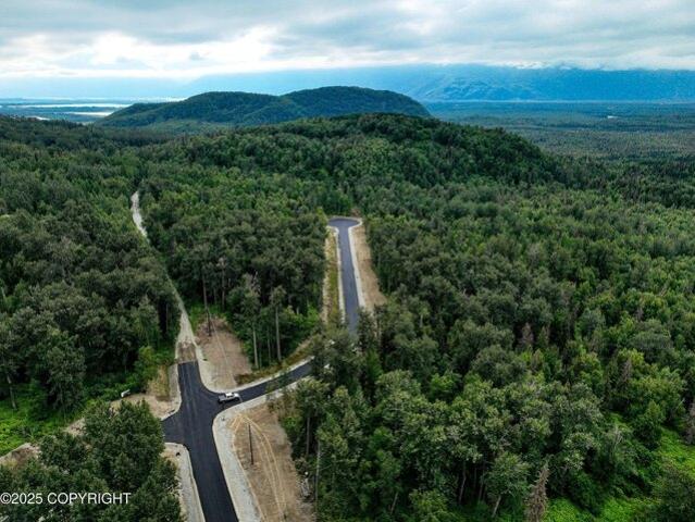 Land for sale in Palmer
