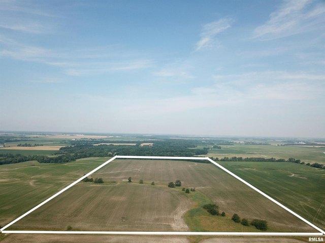 Farm for sale in Flora, Illinois