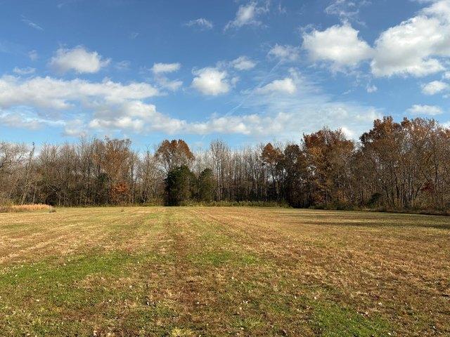 Land for sale in Milan, Indiana