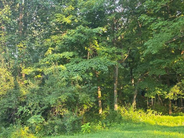 Land for sale in Bruceville, Indiana