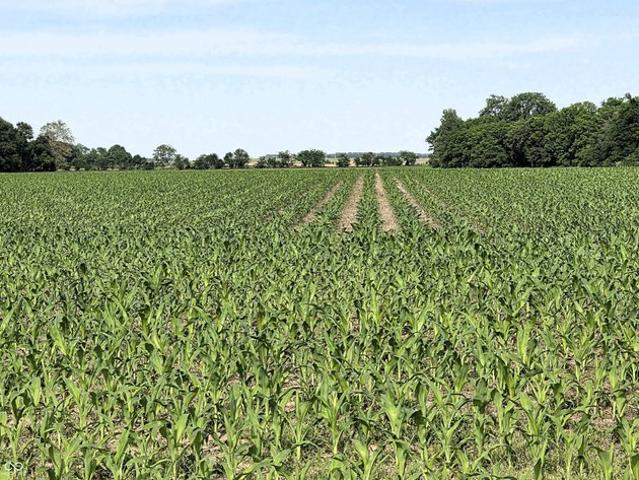 Land for sale in North Salem, Indiana