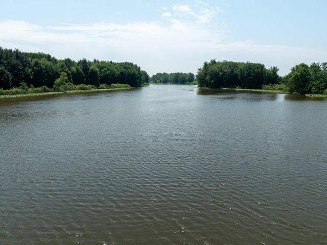 Land for sale in Custer, Michigan