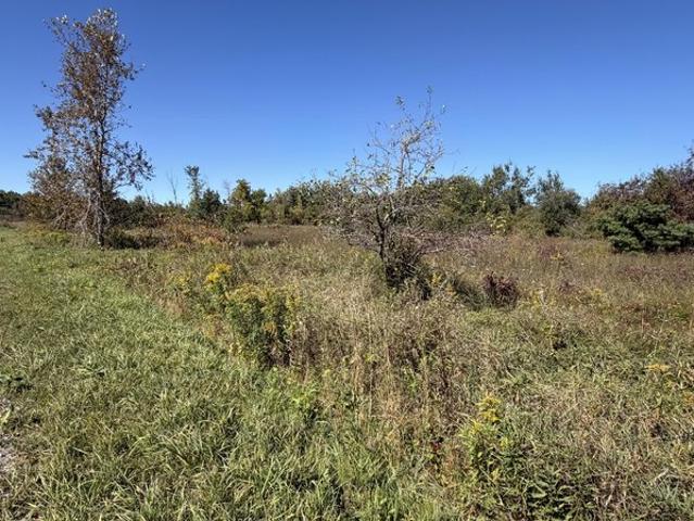 Land for sale in Cheboygan, Cheboygan County