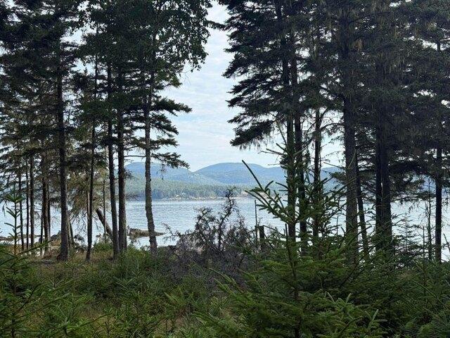 Land for sale in Cranberry Isles, Maine