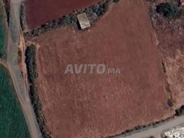 Propriété vente à Aïn Attig