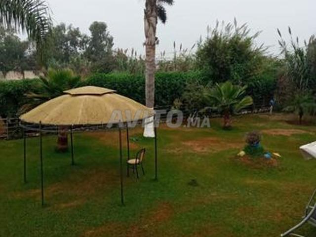 Propriété vente à Aïn Attig