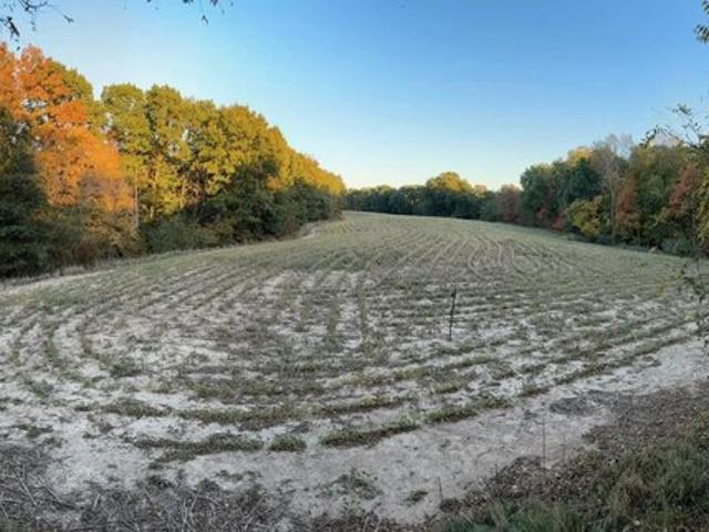 Land for sale in Fulton, Illinois