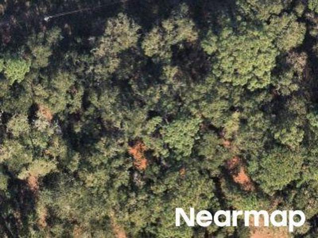 Land for sale in Florida