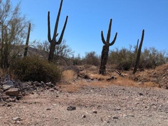 Land for sale in New River