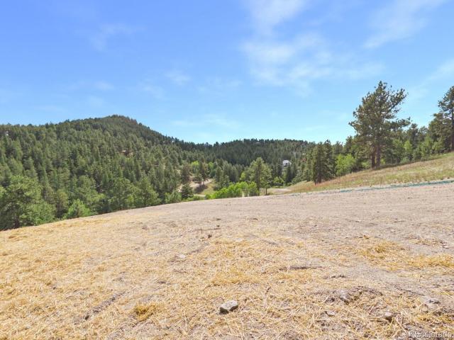 Land for sale in Twin Forks, Morrison