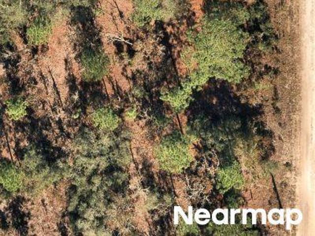 Land for sale in Dunnellon, Florida