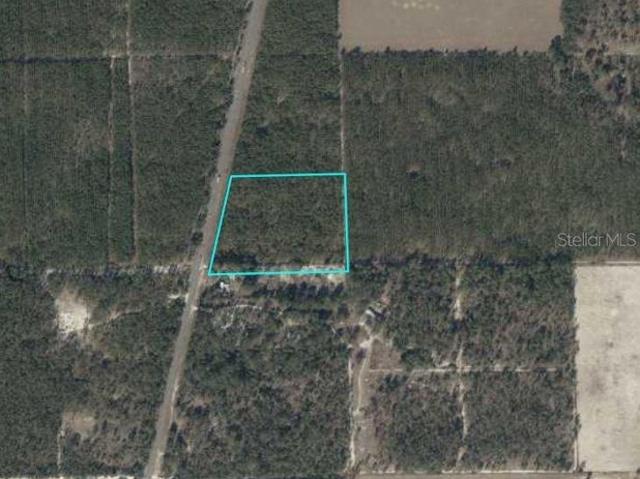 Land for sale in Bell, Florida