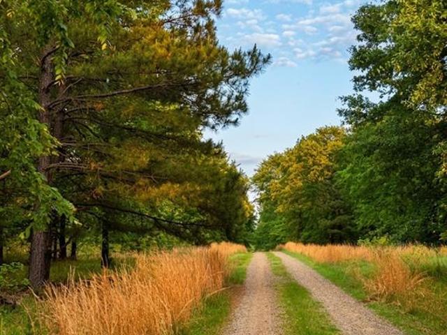 Land for sale in Broken Bow, Oklahoma