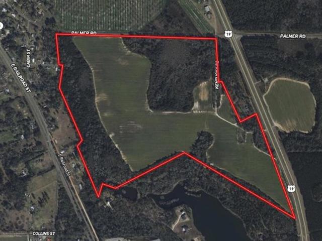 Land for sale in Meigs, Georgia
