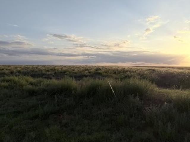 Land for sale in Levelland, Texas