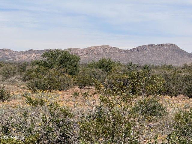 Land for sale in Cochise, Arizona