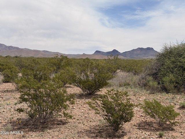 Land for sale in Cochise, Arizona