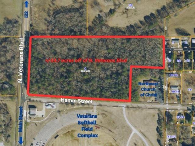 Land for sale in Belden, Mississippi
