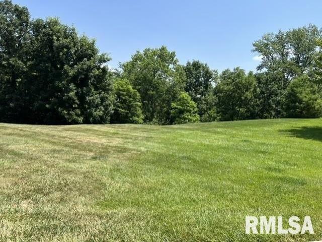 Land for sale in Edwards, Illinois