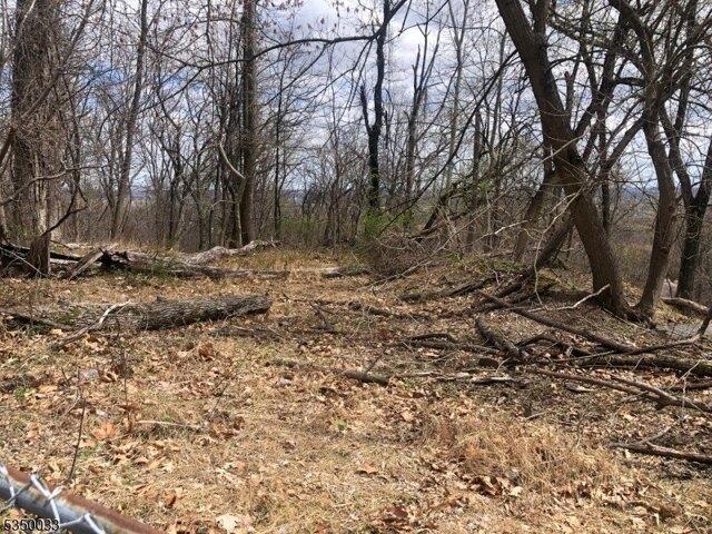 Land for sale in Dunellen