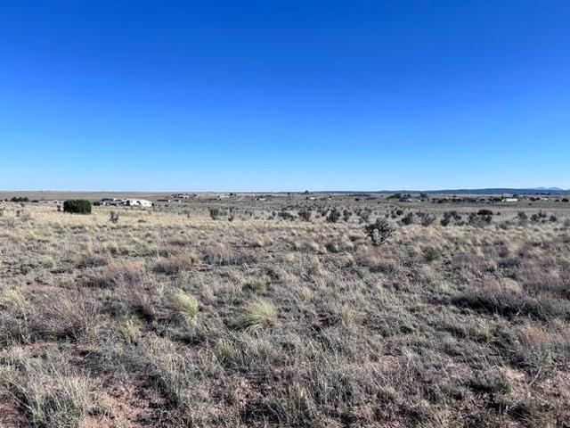 Land for sale in Edgewood, New Mexico