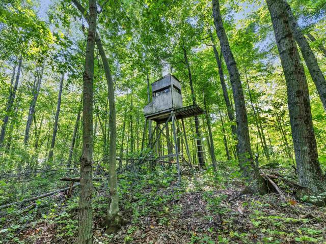 Land for sale in Wisconsin