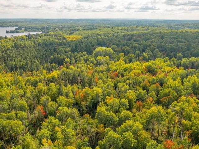 Land for sale in Ely, Saint Louis County