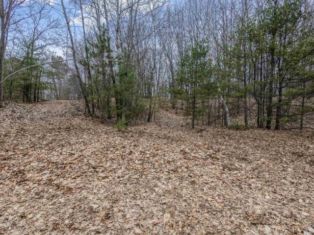 Land for sale in Brazeau, Wisconsin