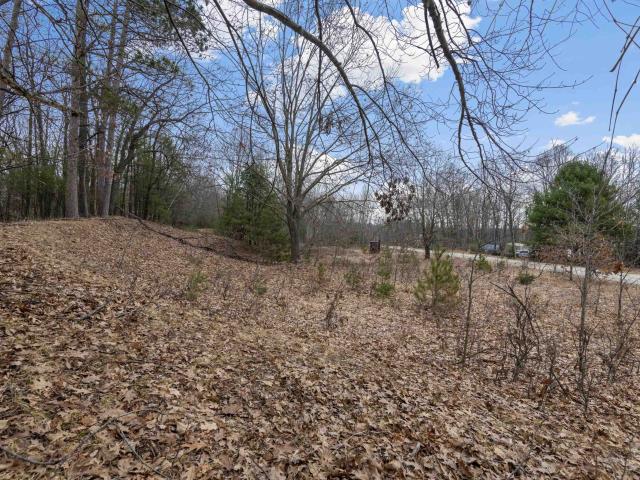 Land for sale in Brazeau, Wisconsin