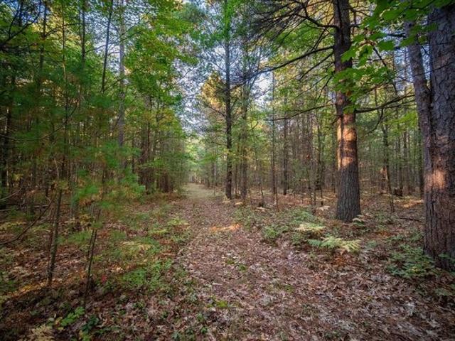 Land for sale in Manistee, Michigan