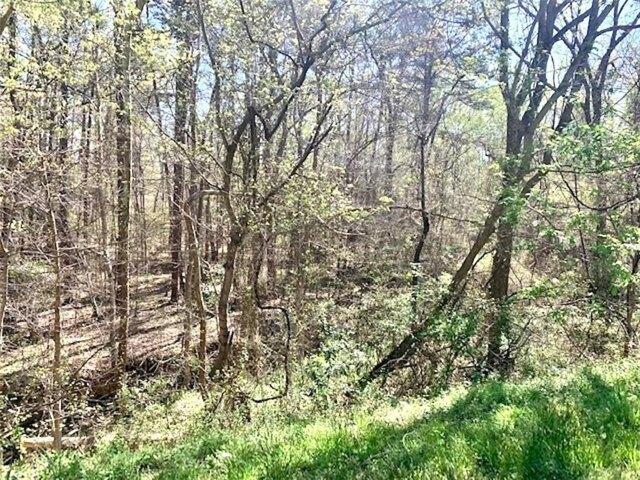 Land for sale in Haw River Land for sale in Haw River
