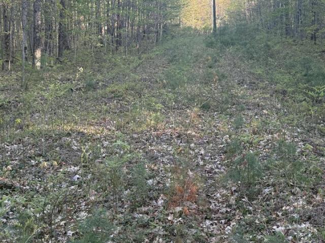 Land for sale in Michigan