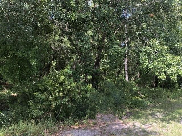 Land for sale in Avon Park, Florida