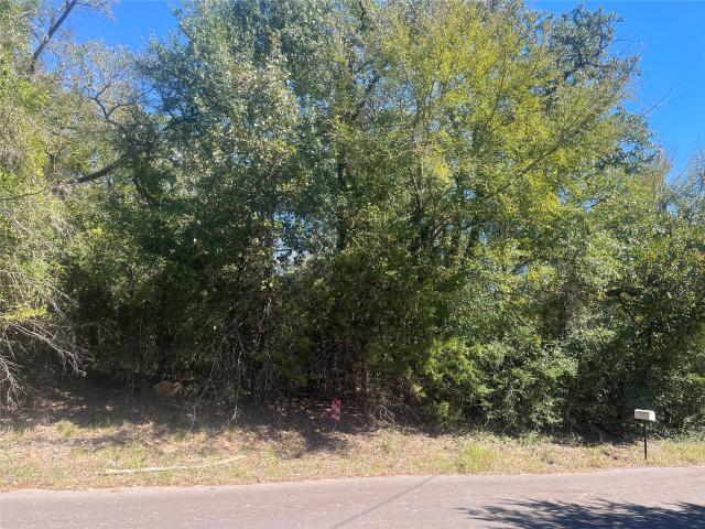 Land for sale in Jewett, Limestone County