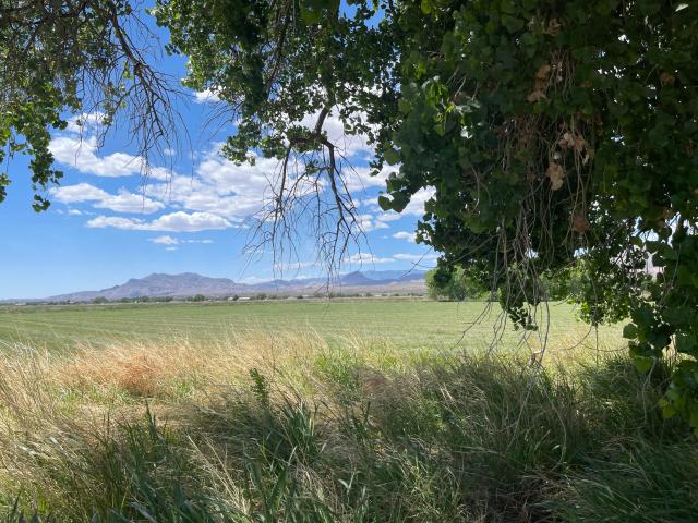 Land for sale in New Mexico