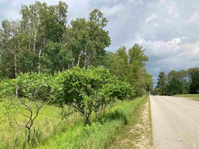 Land for sale in Michigan