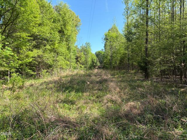 Land for sale in Alamance, North Carolina