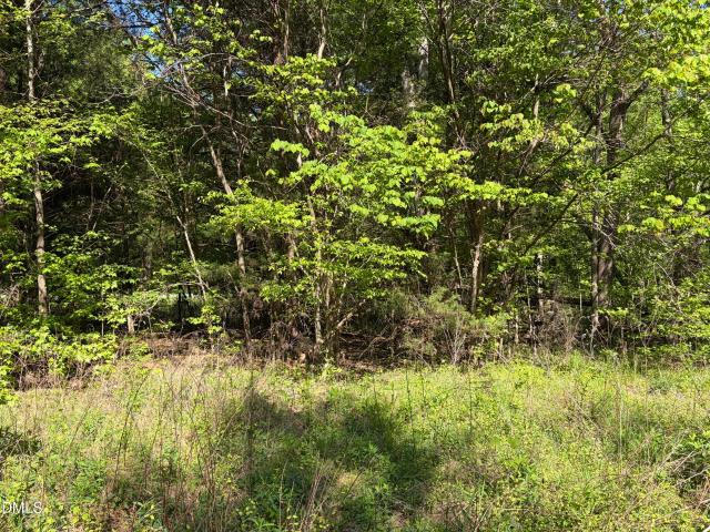 Land for sale in Alamance, North Carolina