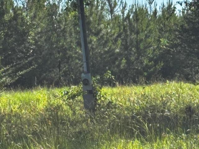 Land for sale in Wrightsville, Georgia