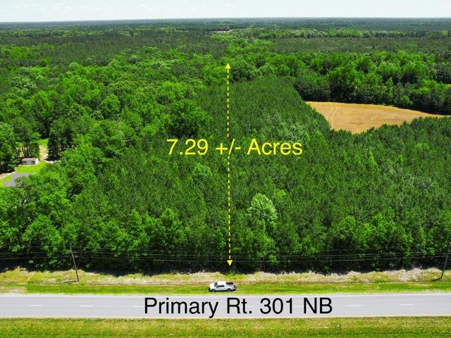 Land for sale in Jarratt, Sussex County