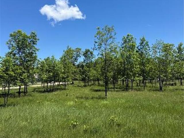 Land for sale in Northeastern Manitoulin, Ontario