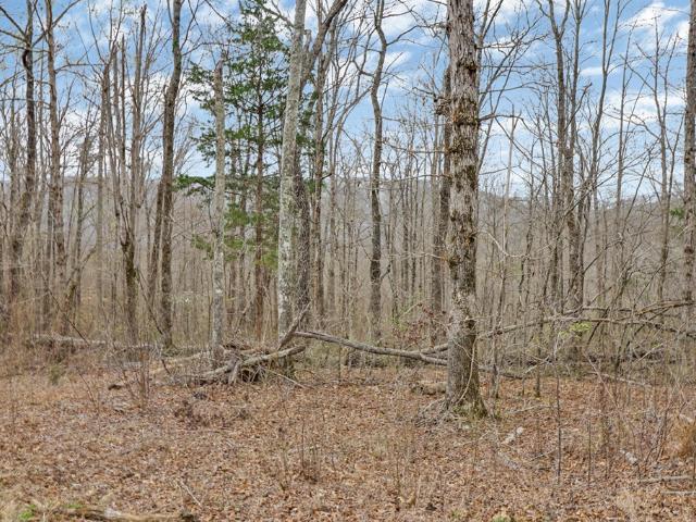 Land for sale in Tennessee