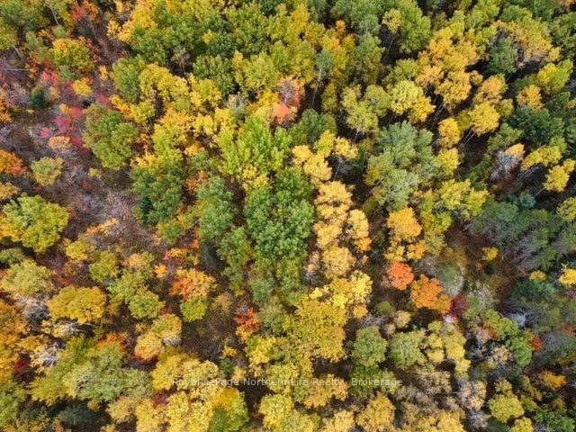 Land for sale in East Ferris, Ontario